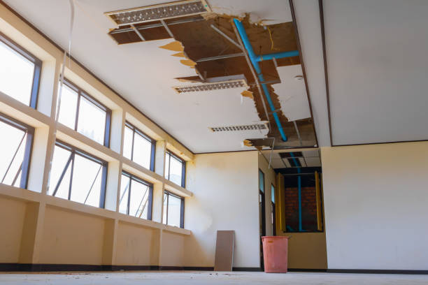 Best Flooded house restoration  in North Vacherie, LA