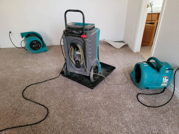 Best Flood damage cleanup  in North Vacherie, LA