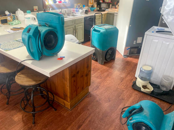 Best Professional water damage repair  in North Vacherie, LA