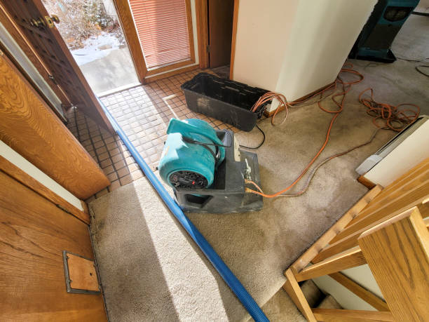 Best Commercial water damage restoration  in North Vacherie, LA