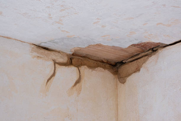 Best Water damage restoration services  in North Vacherie, LA