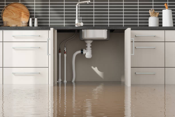 Best Mold removal after water damage  in North Vacherie, LA