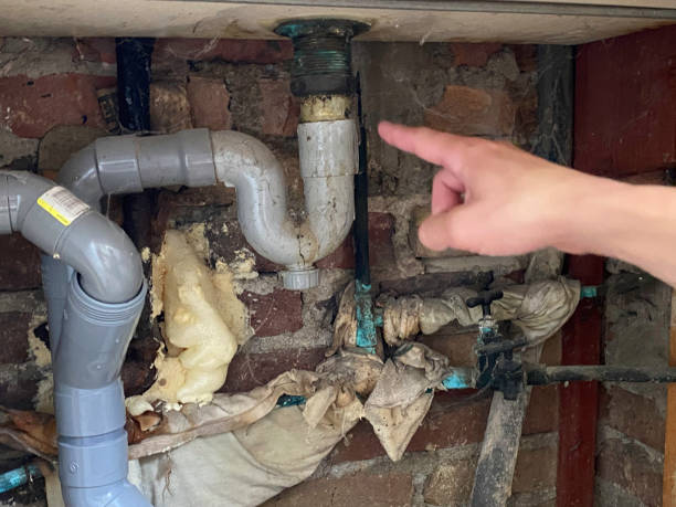 Best Basement water damage restoration  in North Vacherie, LA