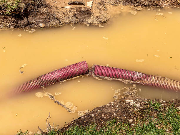 Best Commercial water damage restoration  in North Vacherie, LA