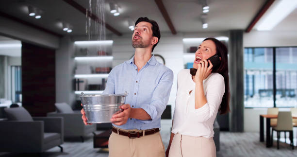 Best Fire Damage Restoration  in North Vacherie, LA
