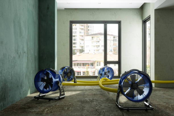 Reliable North Vacherie, LA Water damage restoration Solutions